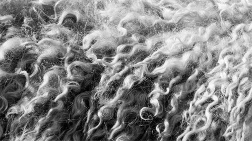 New Wool A NEW STANDARD IN WOOL PROCESSING – ACRUX Wool Systems